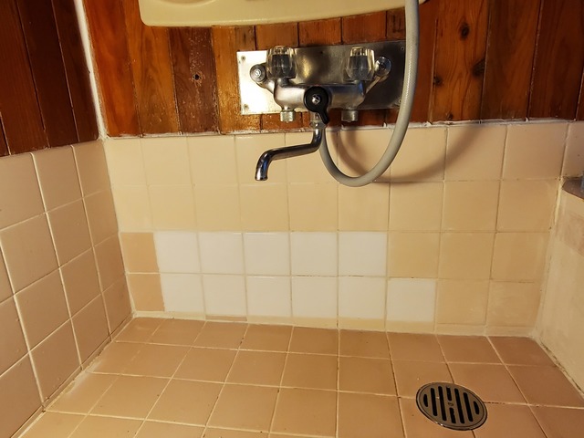 20230728_170309.jpg